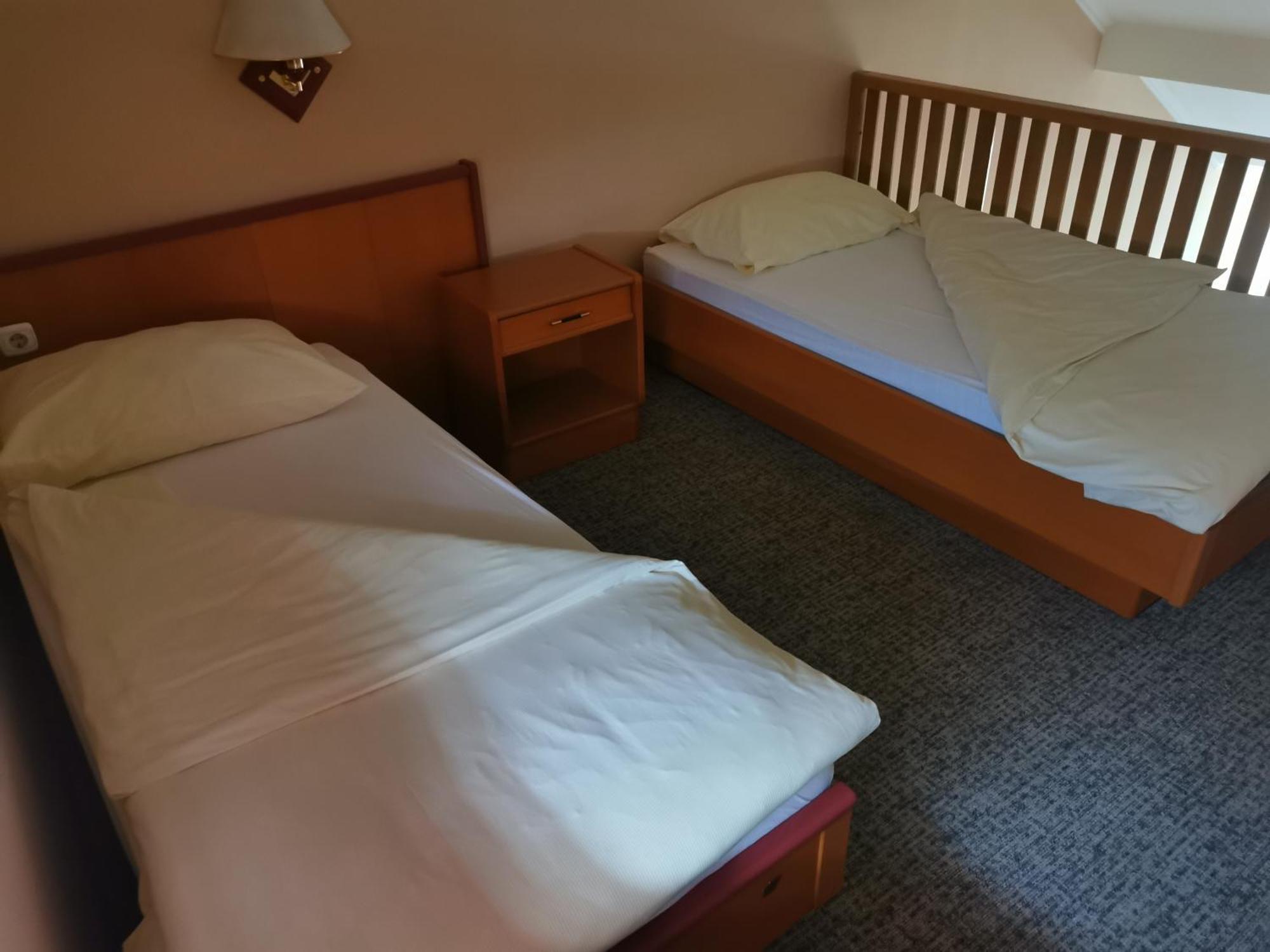 Hotel Delminium Ilidža Cameră foto